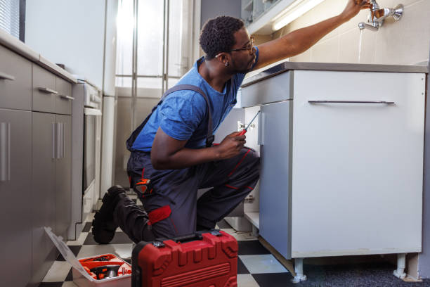Best Plumbing Installation Services  in Osakis, MN