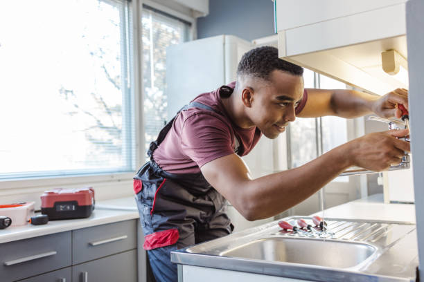 Best Plumbing Inspection Services  in Osakis, MN